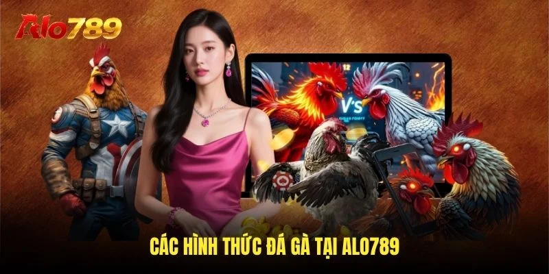 Các công thức đá gà tại ALO789 Các công thức đá gà tại ALO789