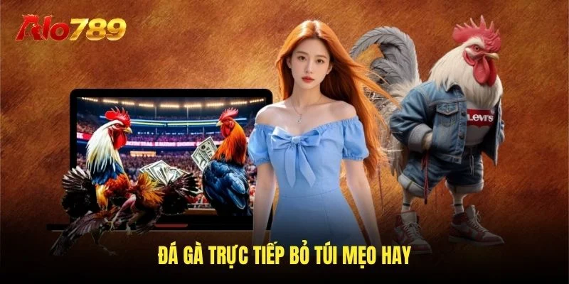 Đá gà trực tiếp bỏ túi mẹo hay