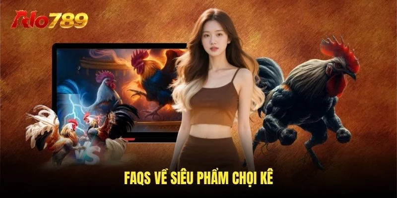 FAQs về siêu phẩm chọi kê