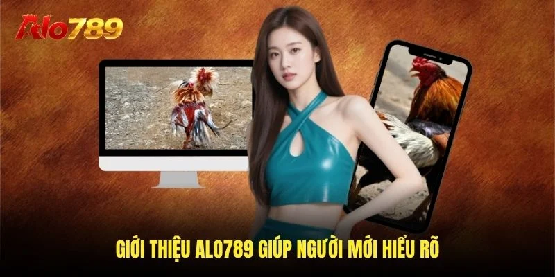 Giới thiệu Alo789 giúp người mới hiểu rõ Giới thiệu Alo789 giúp người mới hiểu rõ