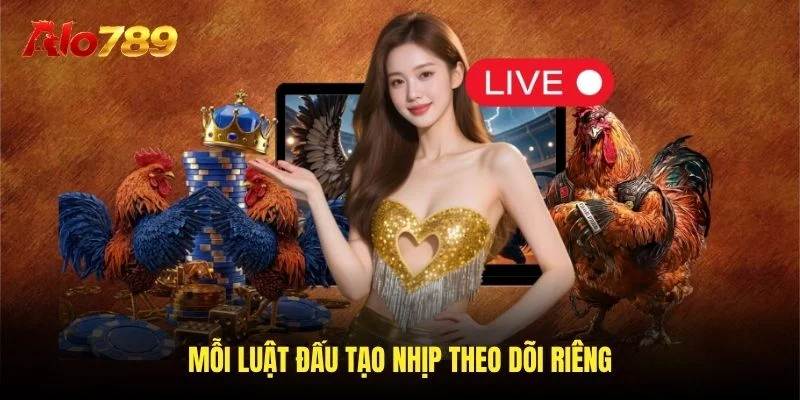 Mỗi luật đấu tạo nhịp theo dõi riêng
