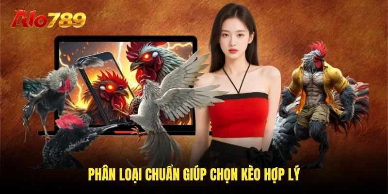 Phân loại chuẩn giúp chọn kèo hợp lý