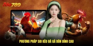 Phương pháp soi kèo đá gà đòn đỉnh cao
