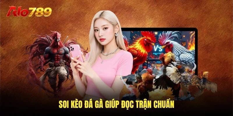 Soi kèo đá gà giúp đọc trận chuẩn