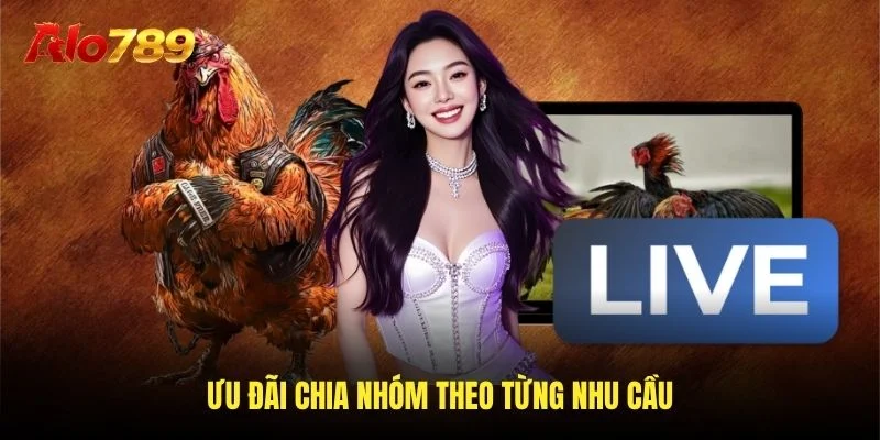 Ưu đãi chia nhóm theo từng nhu cầu Ưu đãi chia nhóm theo từng nhu cầu